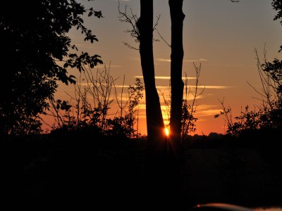 Holiday house Presens Paradies - Environment photo 20