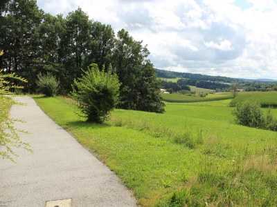 Holiday apartment Haus Staffelberg App.802 - Outdoor photo 15