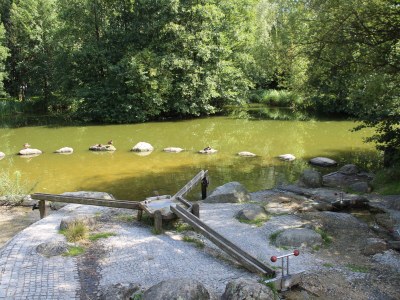 Holiday apartment Haus Staffelberg App.802 - Environment photo 29