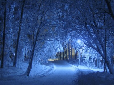 Holiday apartment Haus Staffelberg App.802 - Environment photo 40