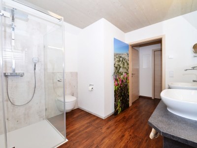 Holiday apartment Alpen Chalet - Fontain's Hus - Features photo 11