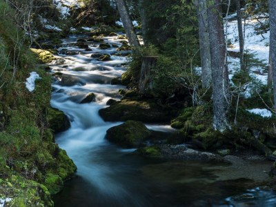 Holiday apartment Alpen Chalet - Fontain's Hus - Environment photo 18