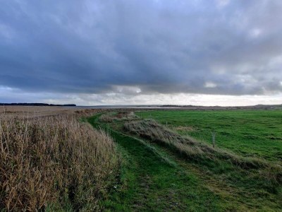 Apartment 6 person holiday home in Lemvig-By Traum - Outdoor photo 14