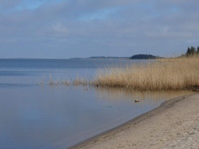 Holiday house Secluded Haven by Fjord - By Traum Ferienwohnungen - Outdoor photo 26