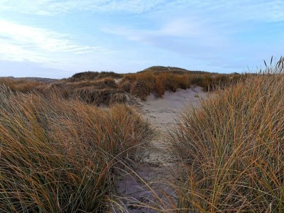 Holiday house Secluded Haven by Fjord - By Traum Ferienwohnungen - Outdoor photo 29