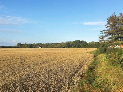 Holiday house 8 person holiday home in Svendborg-By Traum - Outdoor photo 16