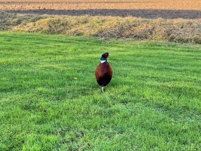 Holiday house 8 person holiday home in Svendborg-By Traum - Outdoor photo 30