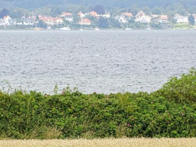 Holiday house 8 person holiday home in Svendborg-By Traum - Outdoor photo 33