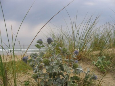 Holiday house Villa Perros - Environment photo 19