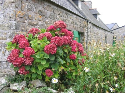 Holiday house Villa Perros - Environment photo 20