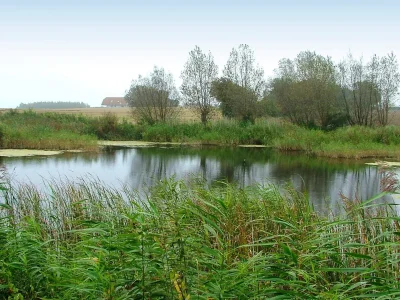 Holiday house Luxurioses Spa-Retreat am Meer -- By Traum Ferienwohnungen - Outdoor photo 7
