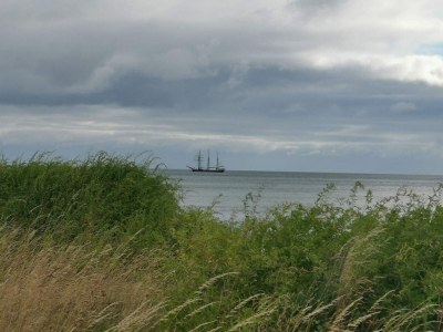 Holiday house Luxurioses Spa-Retreat am Meer -- By Traum Ferienwohnungen - Outdoor photo 34