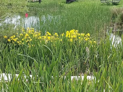 Holiday house Luxurioses Spa-Retreat am Meer -- By Traum Ferienwohnungen - Outdoor photo 35