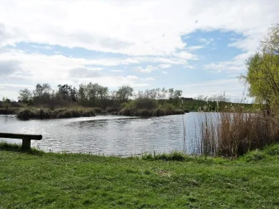 Holiday house Luxurioses Spa-Retreat am Meer -- By Traum Ferienwohnungen - Outdoor photo 38