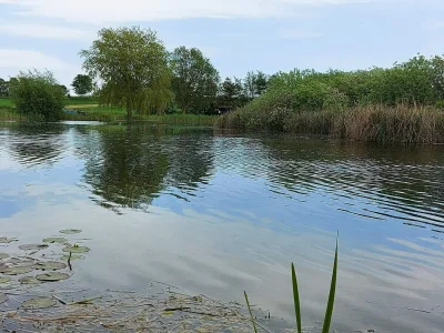 Holiday house Luxurioses Spa-Retreat am Meer -- By Traum Ferienwohnungen - Outdoor photo 39