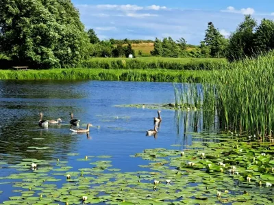 Holiday house Luxurioses Spa-Retreat am Meer -- By Traum Ferienwohnungen - Outdoor photo 42