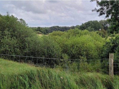 Holiday house 4 Personen Ferienhaus in Hovborg-By Traum - Outdoor photo 8