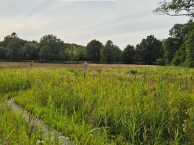 Holiday house 4 Personen Ferienhaus in Hovborg-By Traum - Outdoor photo 9