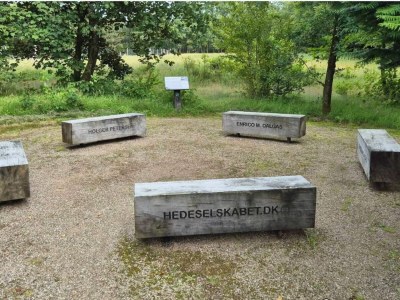 Holiday house 4 Personen Ferienhaus in Hovborg-By Traum - Outdoor photo 11