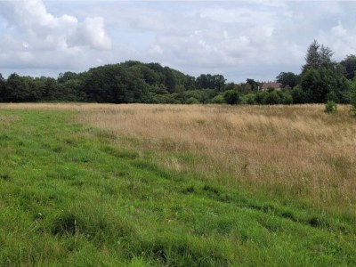 Holiday house 4 Personen Ferienhaus in Hovborg-By Traum - Outdoor photo 13