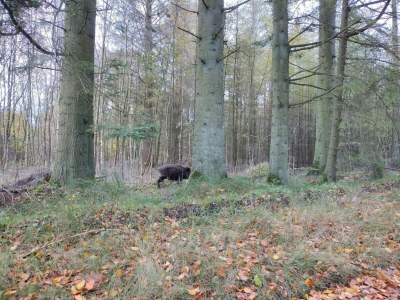 Holiday house 4 Personen Ferienhaus in Hovborg-By Traum - Outdoor photo 20