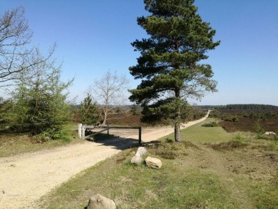 Holiday house 4 Personen Ferienhaus in Hovborg-By Traum - Outdoor photo 25