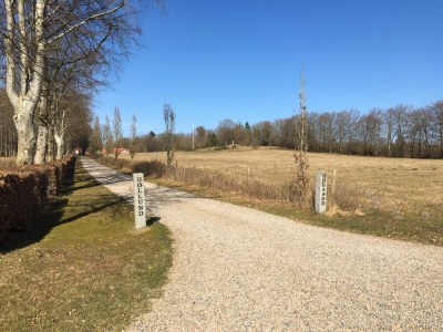 Holiday house 4 Personen Ferienhaus in Hovborg-By Traum - Outdoor photo 28