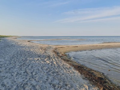 Holiday house 8 person holiday home in Storvorde-By Traum - Outdoor photo 14