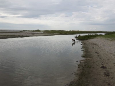 Holiday house 8 person holiday home in Storvorde-By Traum - Outdoor photo 36