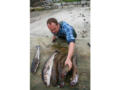 Holiday house 6 Personen Ferienhaus in Åram-By Traum - Outdoor photo 14