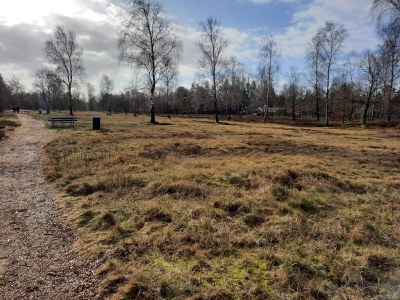 Holiday house 8 Personen Ferienhaus in Højslev-By Traum - Outdoor photo 10