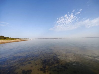 Holiday house Luxus-Ruckzugsort am Hostrup Strand -- By Traum Ferienwohnungen - Outdoor photo 19