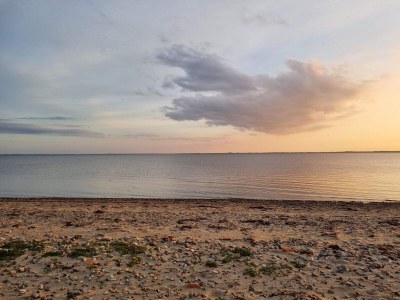 Holiday house Luxus-Ruckzugsort am Hostrup Strand -- By Traum Ferienwohnungen - Outdoor photo 20
