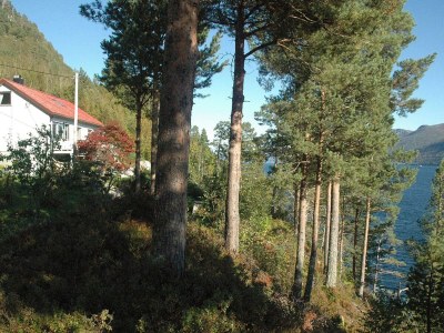 Holiday house 8 Personen Ferienhaus in EIDSVÅG-By Traum - Outdoor photo 36
