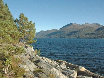 Holiday house 8 Personen Ferienhaus in EIDSVÅG-By Traum - Outdoor photo 42