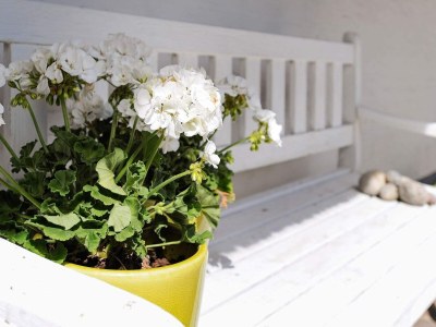 Holiday house Seaside Charm in Baring - By Traum Ferienwohnungen - Outdoor photo 3