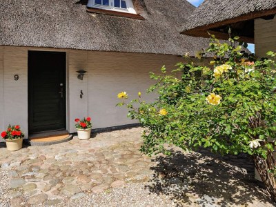 Holiday house Seaside Charm in Baring - By Traum Ferienwohnungen - Outdoor photo 5