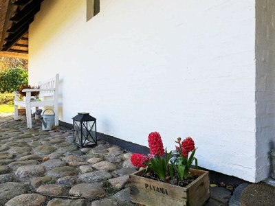 Holiday house Seaside Charm in Baring - By Traum Ferienwohnungen - Outdoor photo 11