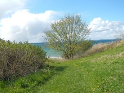 Holiday house Seaside Charm in Baring - By Traum Ferienwohnungen - Outdoor photo 15