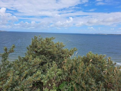 Holiday house 8 person holiday home in Struer-By Traum - Outdoor photo 38