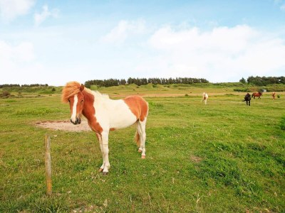 Holiday house 8 person holiday home in Hjørring-By Traum - Outdoor photo 27