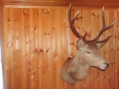 Holiday house 4 person holiday home in Måndalen - Outdoor photo 25