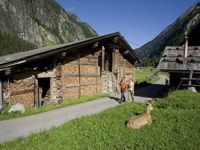 Apartment Chalet in Kaltenbach nahe Skipisten - Environment photo 20