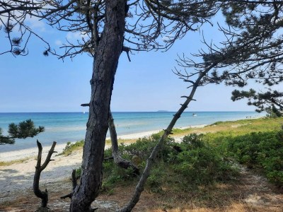 Holiday house 10 person holiday home in Ebeltoft - Outdoor photo 12