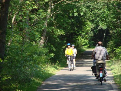 Holiday apartment StrandLodge Strand49.nl - Environment photo 26