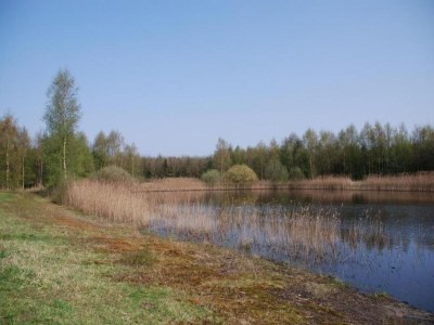 Holiday house Cottage near Bourtange with Hot Tub - Environment photo 19