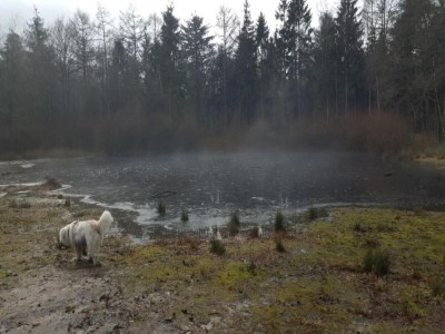 Holiday house Cottage near Bourtange with Hot Tub - Environment photo 21