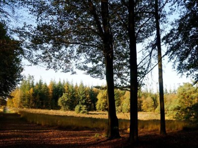 Holiday house Cottage near Bourtange with Hot Tub - Environment photo 24