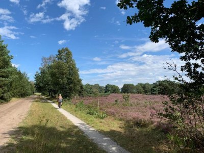 Holiday house Cottage near Bourtange with Hot Tub - Environment photo 25
