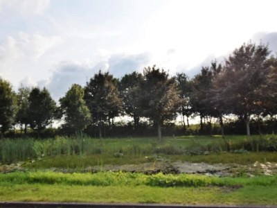 Holiday house Cottage near Bourtange with Hot Tub - Environment photo 27